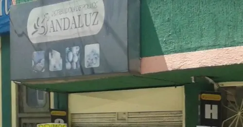 DISTRIBUIDORA DE POLLOS ANDALUZ CALLE 132D 152 CON 24 DISTRIBUIDORA DE POLLOS ANDALUZ CALLE 132D 152 CON 24